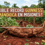 EL COLOSO DE COLONIA ALBERDI: CUANDO EL COLONO JUGABA A LA HUERTA Y TERMINÓ DESENTERRANDO EL MÁSTIL DE UN BARCO