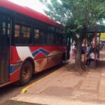 Crónica de un “Quite” Anunciado: Volvieron los Colectivos (Más o Menos)