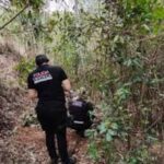 MACABRO HALLAZGO EN PUERTO ESPERANZA: CUANDO UN PASEO POR EL MONTE TERMINA EN ESCENA FORENSE