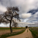 EL TIEMPO  EN  ELDORADO