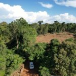 ¡ALERTA ROJA EN GARUHAPÉ! UN POBRE EMPRESARIO FORESTAL CONTRA LAS HORDAS DEL MAL Y DE LA PASTORAL