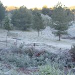 Ola de frío: la temperatura desciende a 2°C, pero se anticipa un alivio térmico para los próximos días
