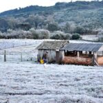 ¡Paren rotativas! Parece que el invierno se enteró de que el Nordeste argentino existe y decidió armar las valijas