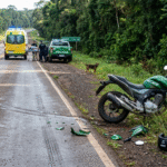 ¡UN PERRO DECIDIÓ CRUZAR… Y TERMINÓ PROVOCANDO UN NUEVO SINIESTRO EN LA RUTA 12