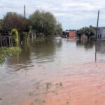 PREPÁRENSE PARA EL CHAPUZÓN: EL NIÑO REGRESA CON MÁS FUERZA QUE NUNCA