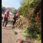 MISIONES BAJO AMENAZA: EL FUEGO AVANZA Y EL VIENTO NO DA TREGUA