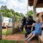 ABEJAS, DESESPERACIÓN Y RESCATE: UNA MUJER DE 85 AÑOS SOBREVIVIÓ A UN ENJAMBRE QUE CONVIRTIÓ SU CASA EN UNA ZONA DE PELIGRO