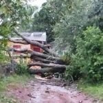 ELDORADO DESPUÉS DEL TEMPORAL: MÁS DE 250 FAMILIAS ASISTIDAS Y UNA CIUDAD QUE TODAVÍA DEBE RECONSTRUIRSE