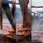 ARAUCO VUELVE A ATACAR EN SAN PEDRO: FAMILIAS CAMPESINAS, TIERRAS EN DISPUTA Y EL MIEDO QUE AVANZA SOBRE MISIONES